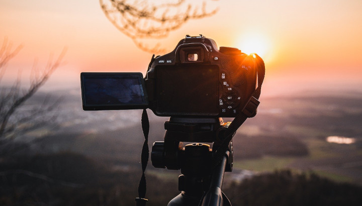 Manifeste pour une pratique éthique de la photographie de nature